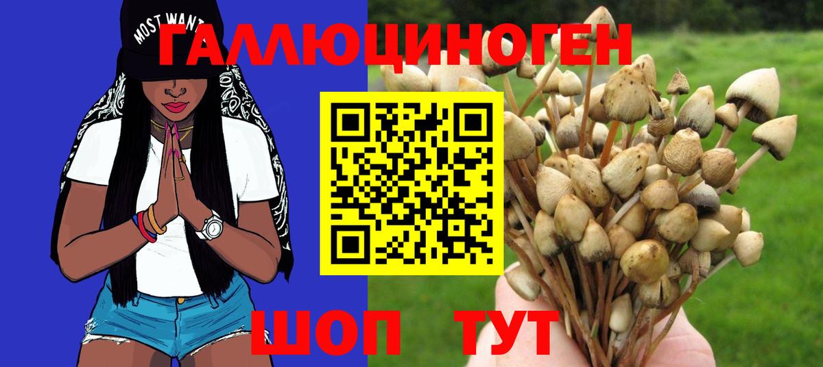 Псилоцибиновые грибы Cubensis Великий Устюг